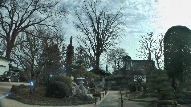 �ՍϏ@�������h �����R���ю�