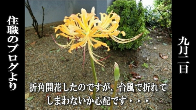 �ՍϏ@�������h�����R���ю� ��7�� �ފ݉ԊJ�ԏ��