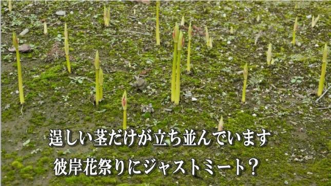 �ՍϏ@�������h�����R���ю� ��7�� �ފ݉ԊJ�ԏ��