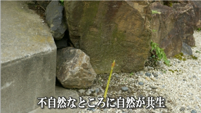 �ՍϏ@�������h�����R���ю� ��7�� �ފ݉ԊJ�ԏ��