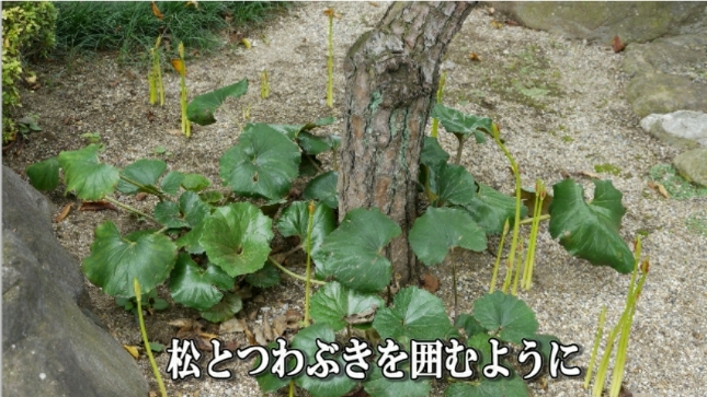 �ՍϏ@�������h�����R���ю� ��7�� �ފ݉ԊJ�ԏ��