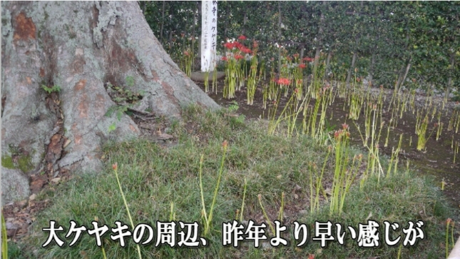 �ՍϏ@�������h�����R���ю� ��7�� �ފ݉ԊJ�ԏ��