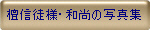 �h�M�k�l�E�a���̎ʐ^�W