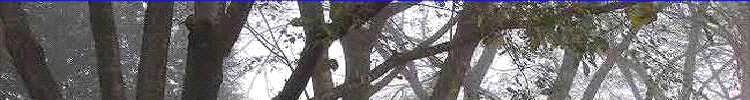 �ՍϏ@�������h �����R���ю��o�i�[ ���Ɣފ݉�