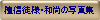 �h�M�k�l�E�a���̎ʐ^�W